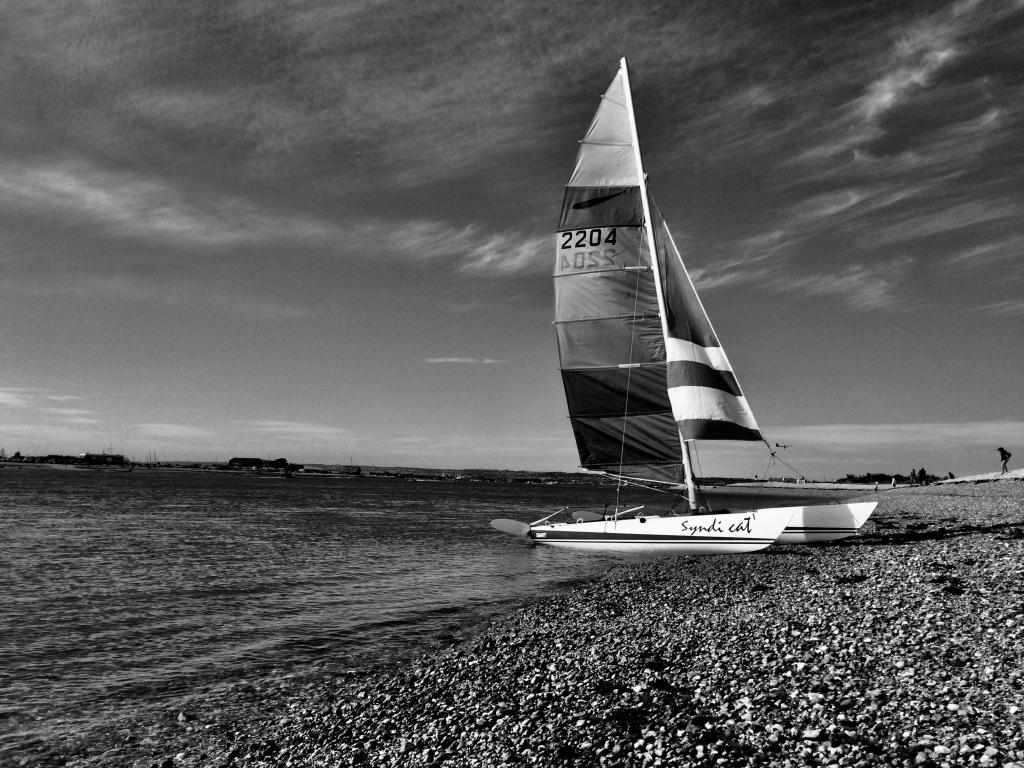 Dart 18 on the beach